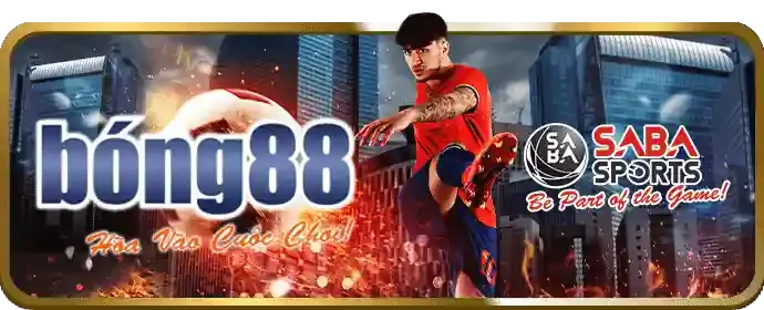 Trải Nghiệm Tối Ưu